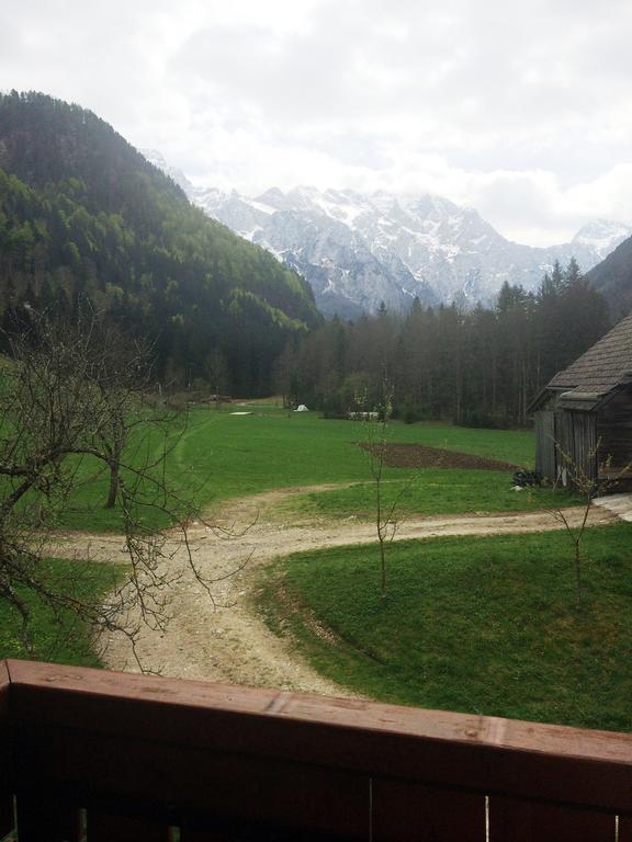 Farm Stay Juvanija Solčava Dış mekan fotoğraf