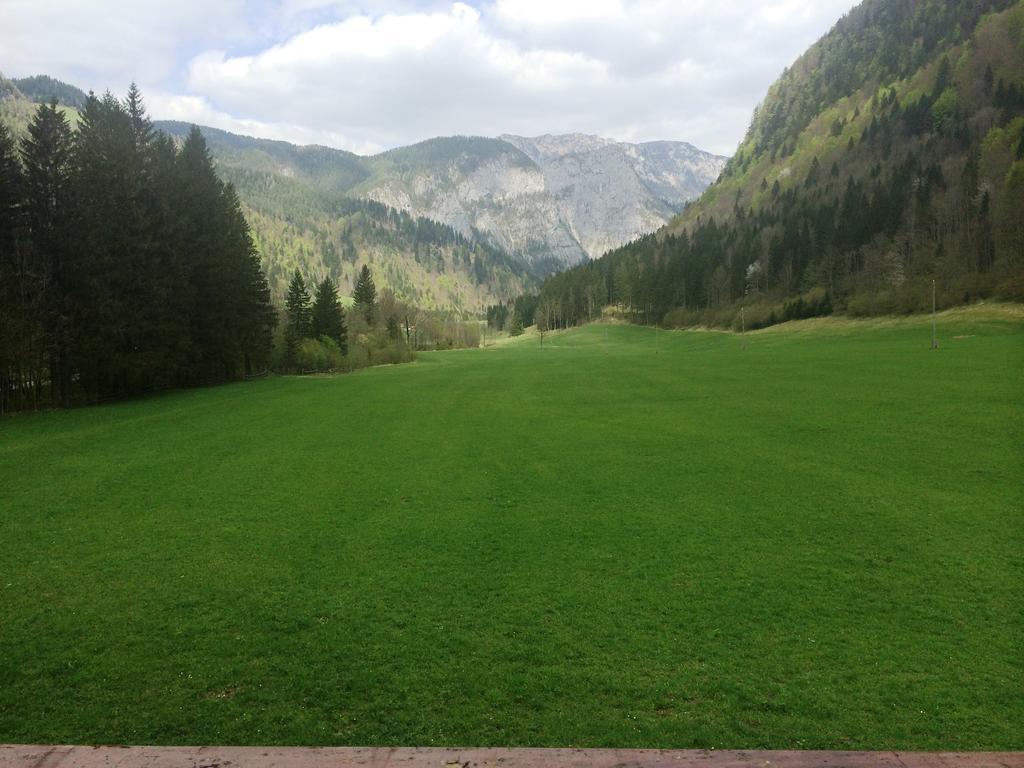 Farm Stay Juvanija Solčava Dış mekan fotoğraf