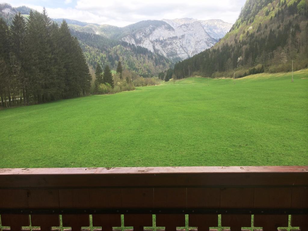 Farm Stay Juvanija Solčava Dış mekan fotoğraf