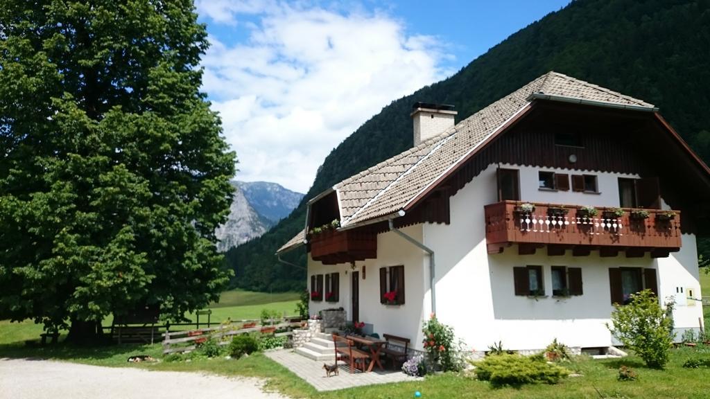 Farm Stay Juvanija Solčava Dış mekan fotoğraf