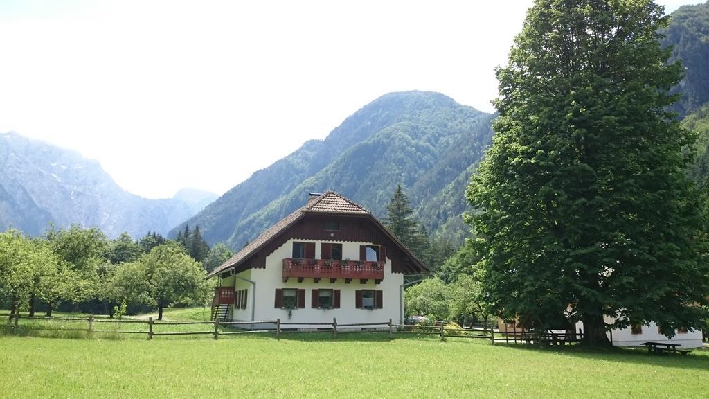 Farm Stay Juvanija Solčava Dış mekan fotoğraf