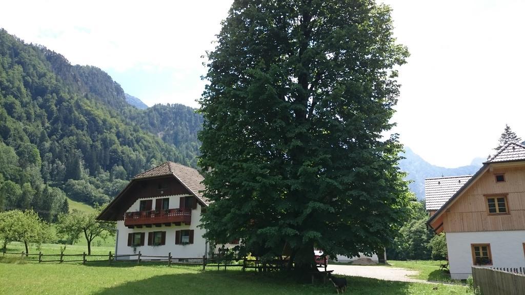 Farm Stay Juvanija Solčava Dış mekan fotoğraf